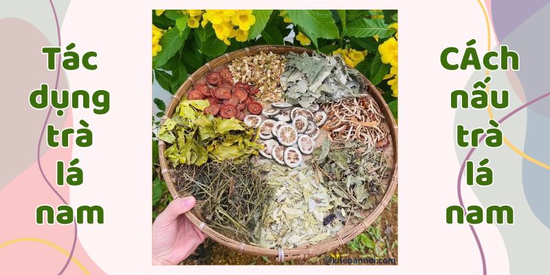 Trà Lá Nam 10 Vị:  Giảm Cân, Thanh Lọc Cơ Thể, Chống Lão Hóa